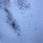 20190123_095425731_iOS