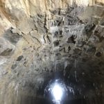 20190123_134434396_iOS